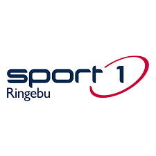 Sponsor logo #1